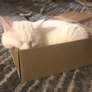 Meet your Posher, Myron